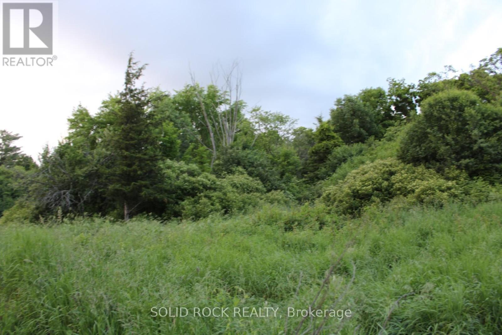 Thin line of trees to west easily cleared - 133 Webster Road, Leeds And The Thousand Islands, ON