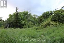 Thin line of trees to west easily cleared -