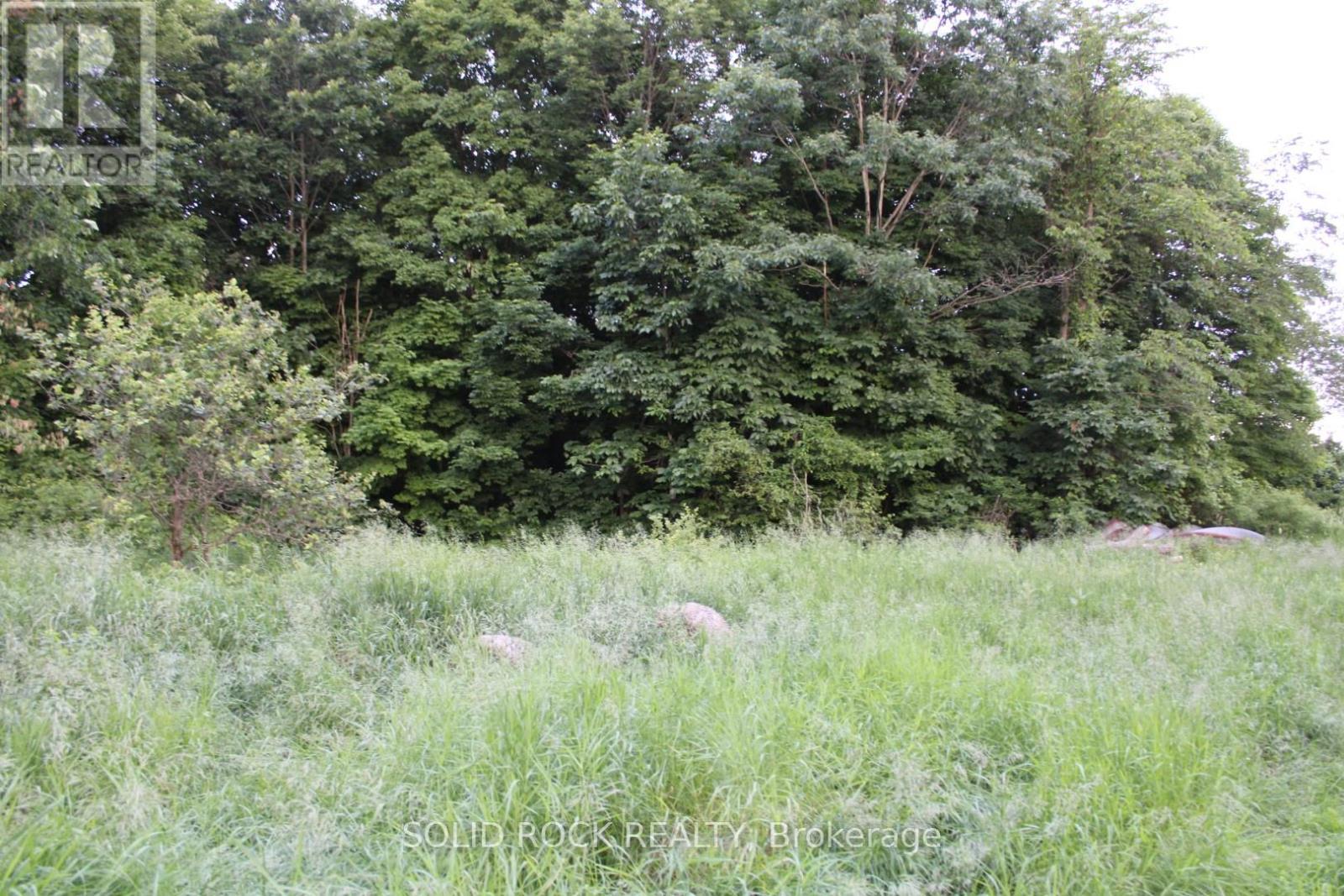 Building area surrounded by trees on 3 sides... - 133 Webster Road, Leeds And The Thousand Islands, ON