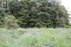 Building area surrounded by trees on 3 sides... -