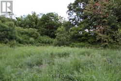 ...north, east & south sides-different varieties.. -