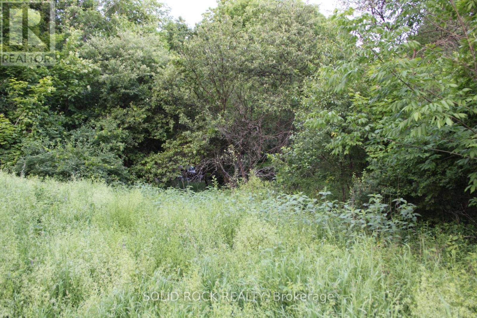 Building area is mainly flat & level.... - 133 Webster Road, Leeds And The Thousand Islands, ON