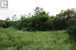 Building area is large enough-little clearing reqd -