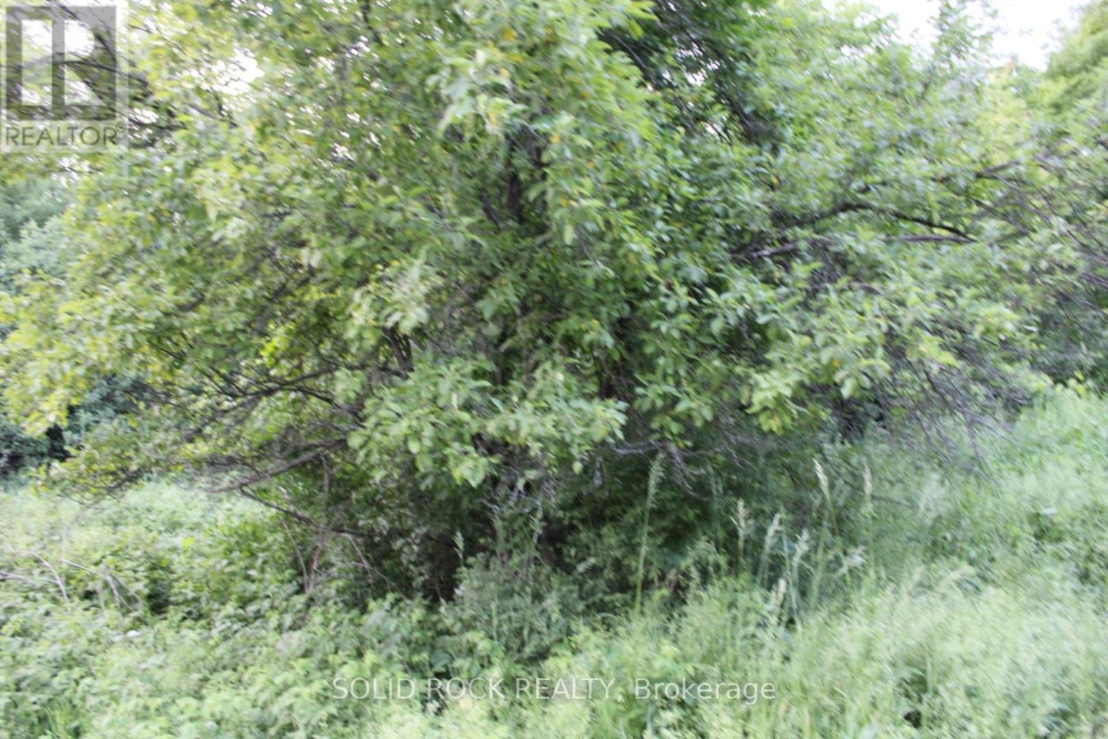 Small trees at edge of building area - 133 Webster Road, Leeds And The Thousand Islands, ON