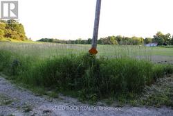 Intersection of Webster &west neighbou's laneway.. -