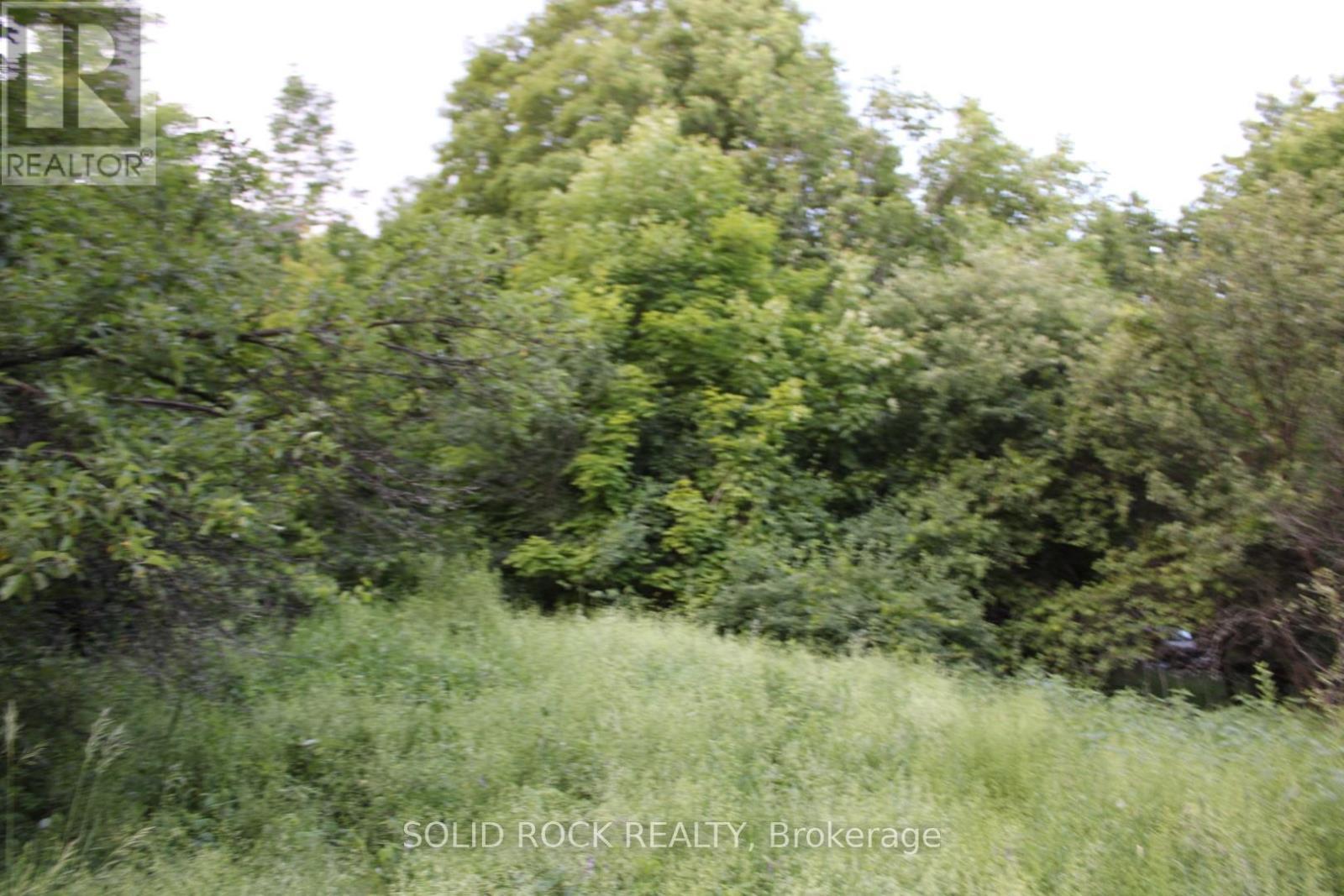 Some very, very beautiful trees on perimetre - 133 Webster Road, Leeds And The Thousand Islands, ON