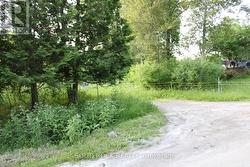 Northeast neighbour acreage has open areas & trees -