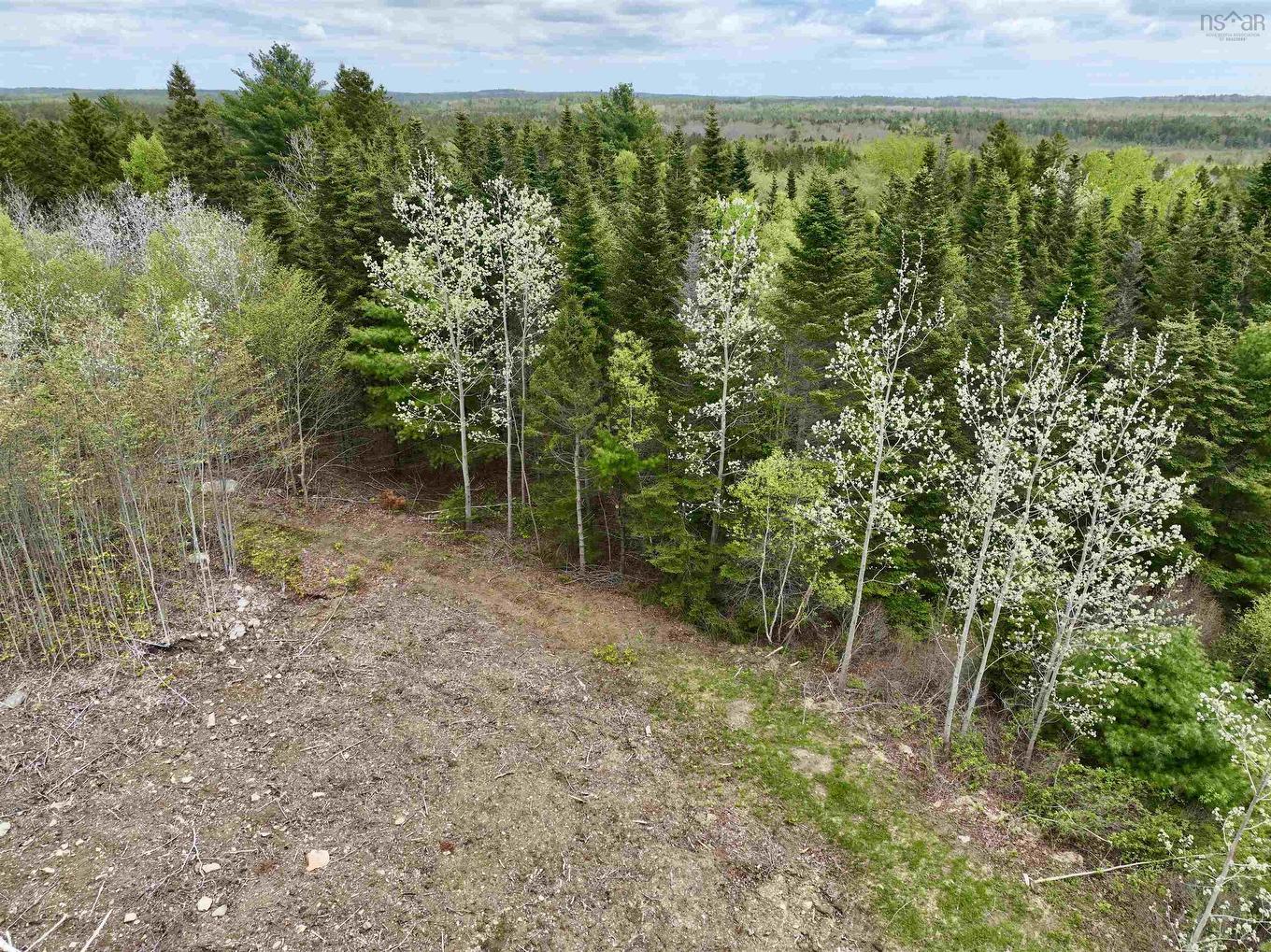 Lot 15 Camperdown School Road, Middlewood, NS