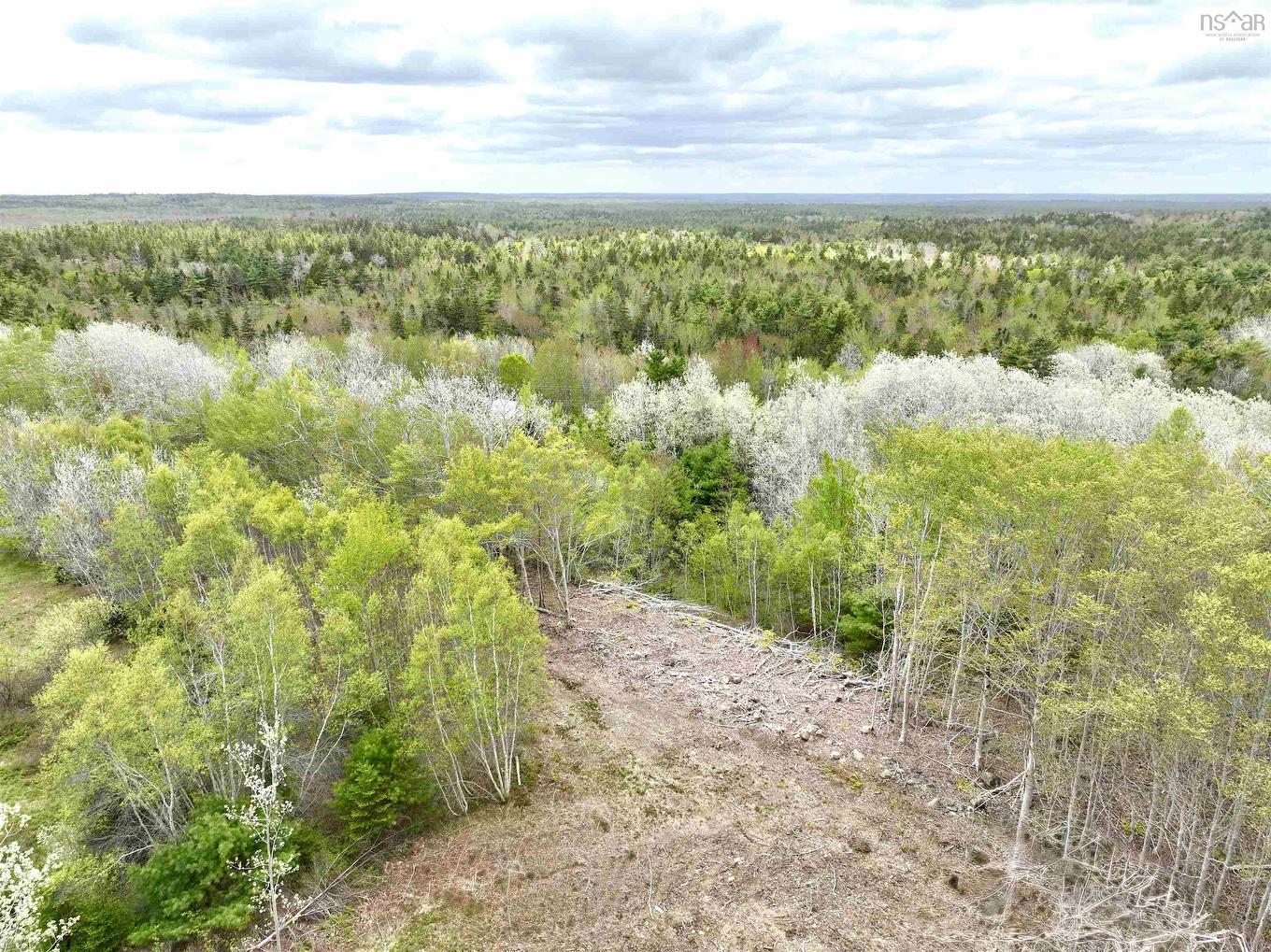 Lot 15 Camperdown School Road, Middlewood, NS