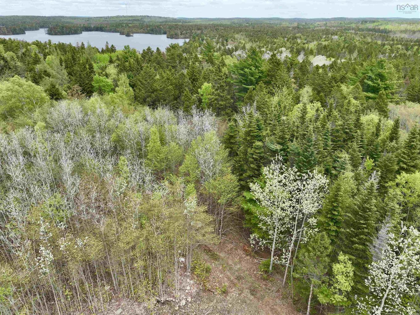 Lot 15 Camperdown School Road, Middlewood, NS