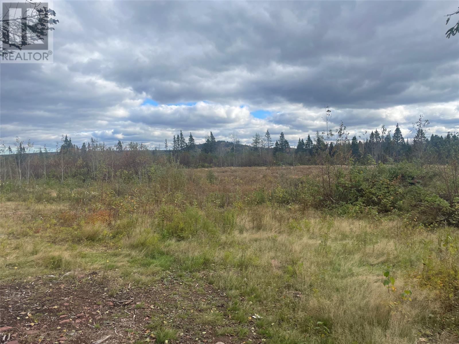 136333 Peter'S Pond, Botwood, NL