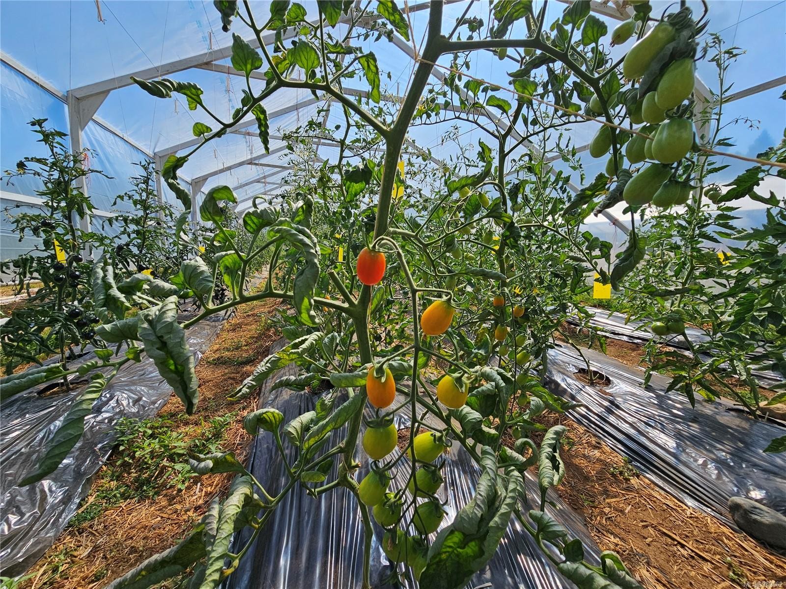 2156 Coleman Rd, Courtenay, BC