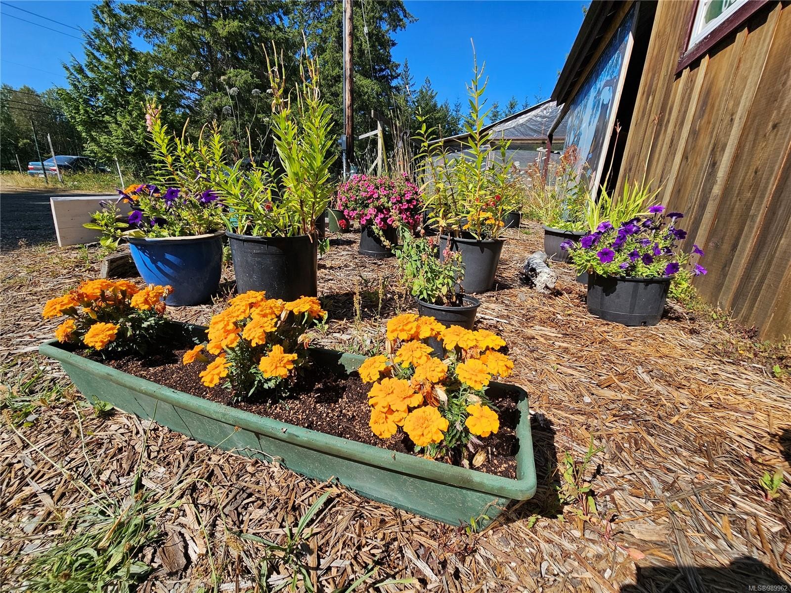 2156 Coleman Rd, Courtenay, BC