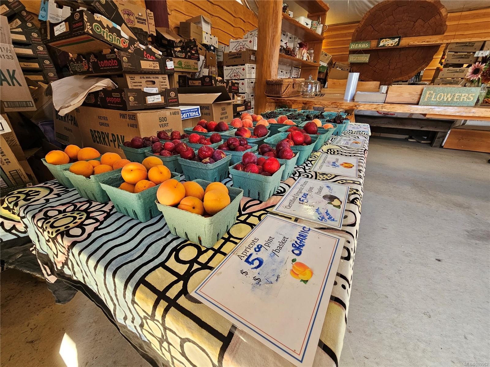 2156 Coleman Rd, Courtenay, BC