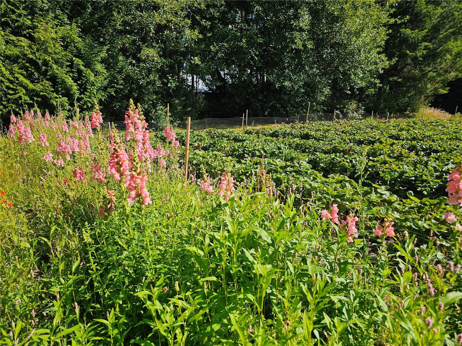 2156 Coleman Rd, Courtenay, BC