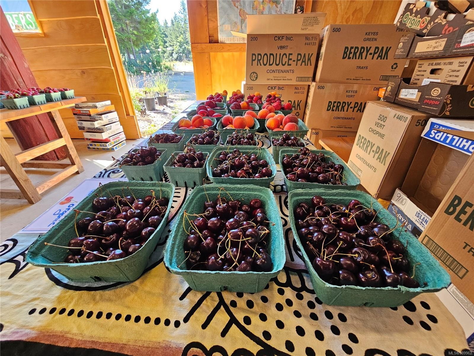 2156 Coleman Rd, Courtenay, BC