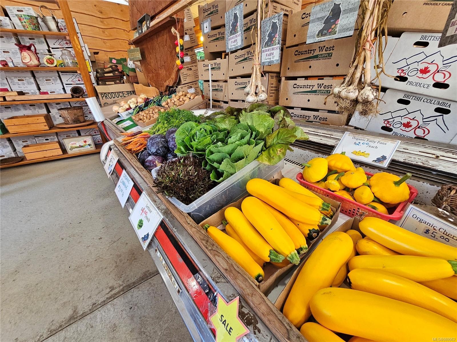 2156 Coleman Rd, Courtenay, BC