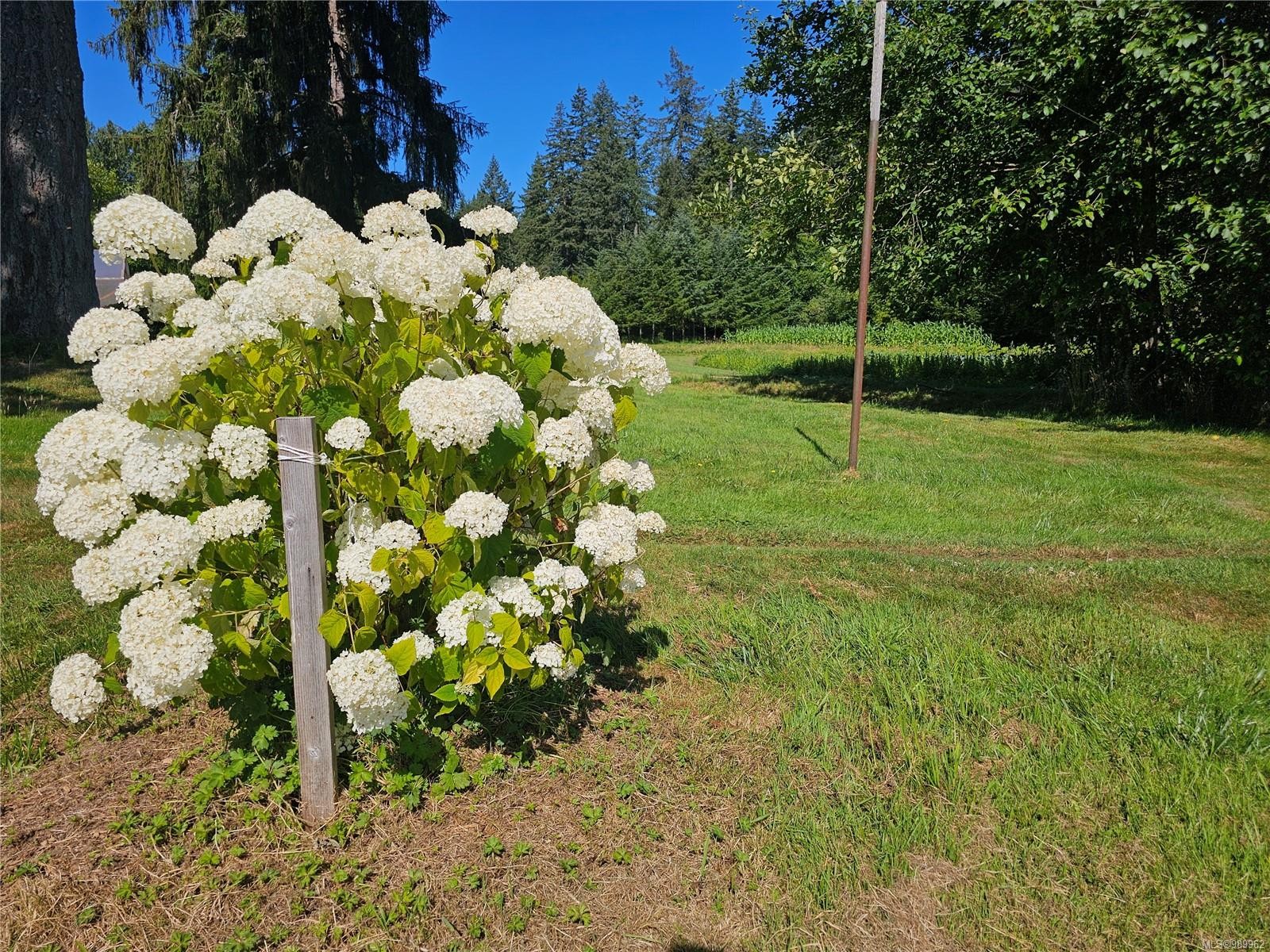 2156 Coleman Rd, Courtenay, BC