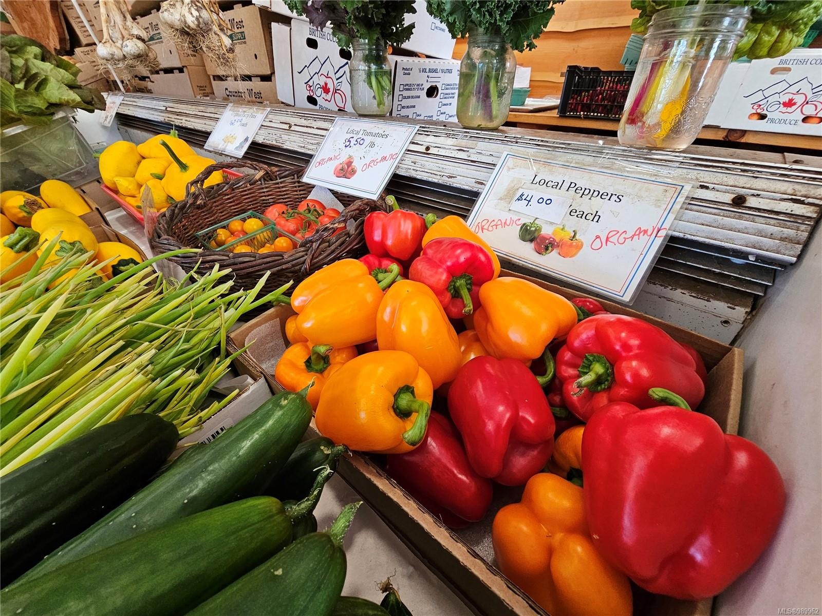 2156 Coleman Rd, Courtenay, BC