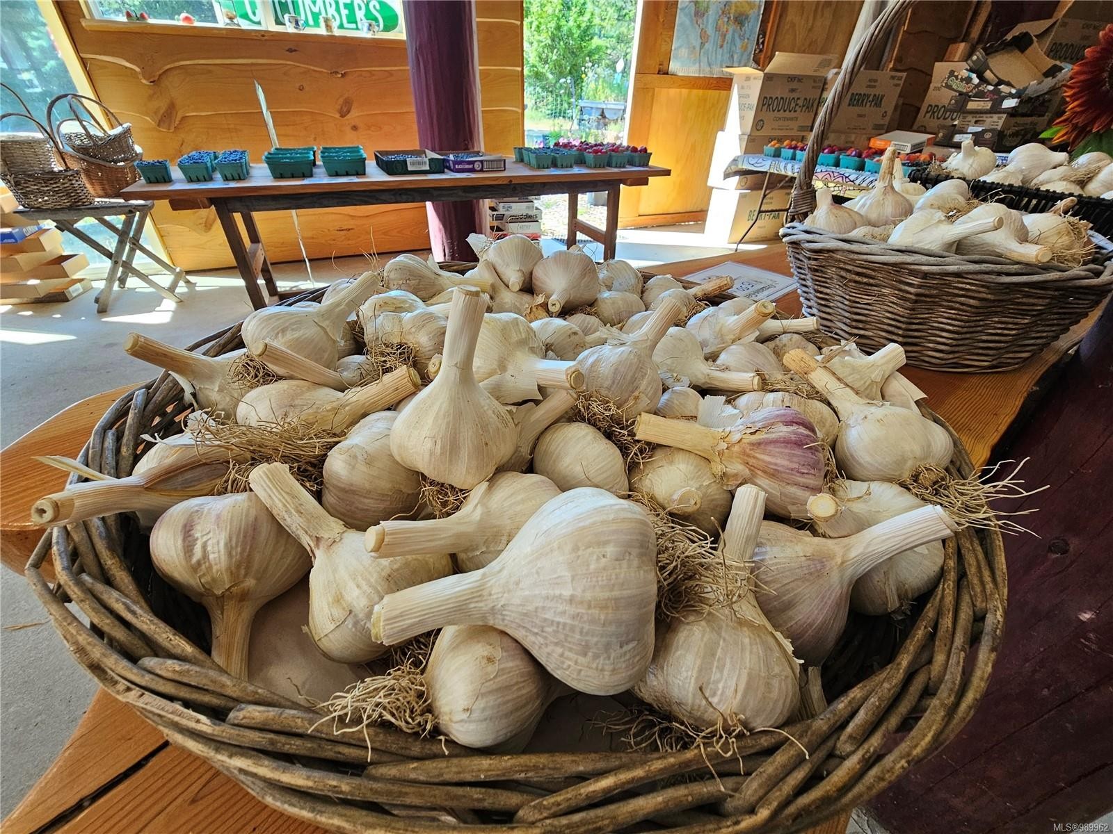 2156 Coleman Rd, Courtenay, BC