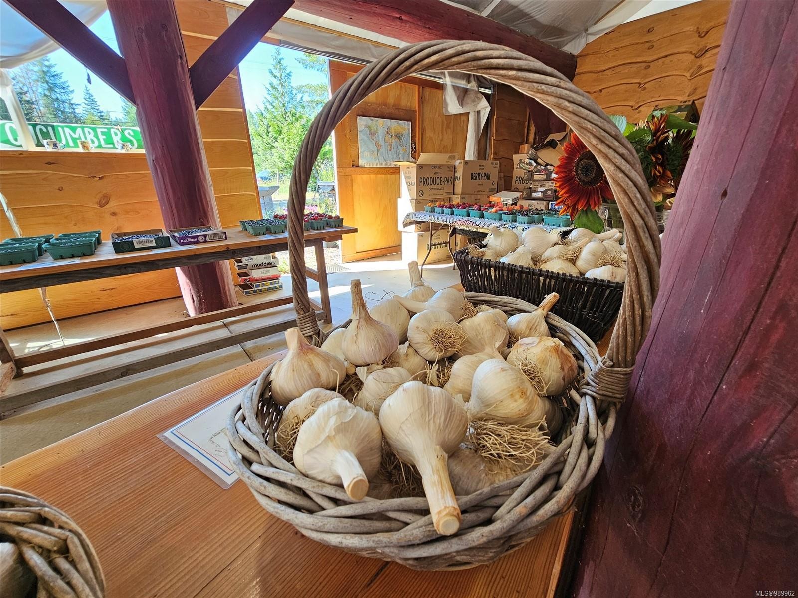 2156 Coleman Rd, Courtenay, BC