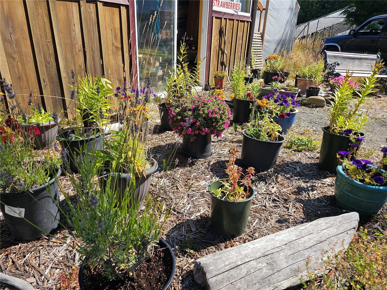 2156 Coleman Rd, Courtenay, BC