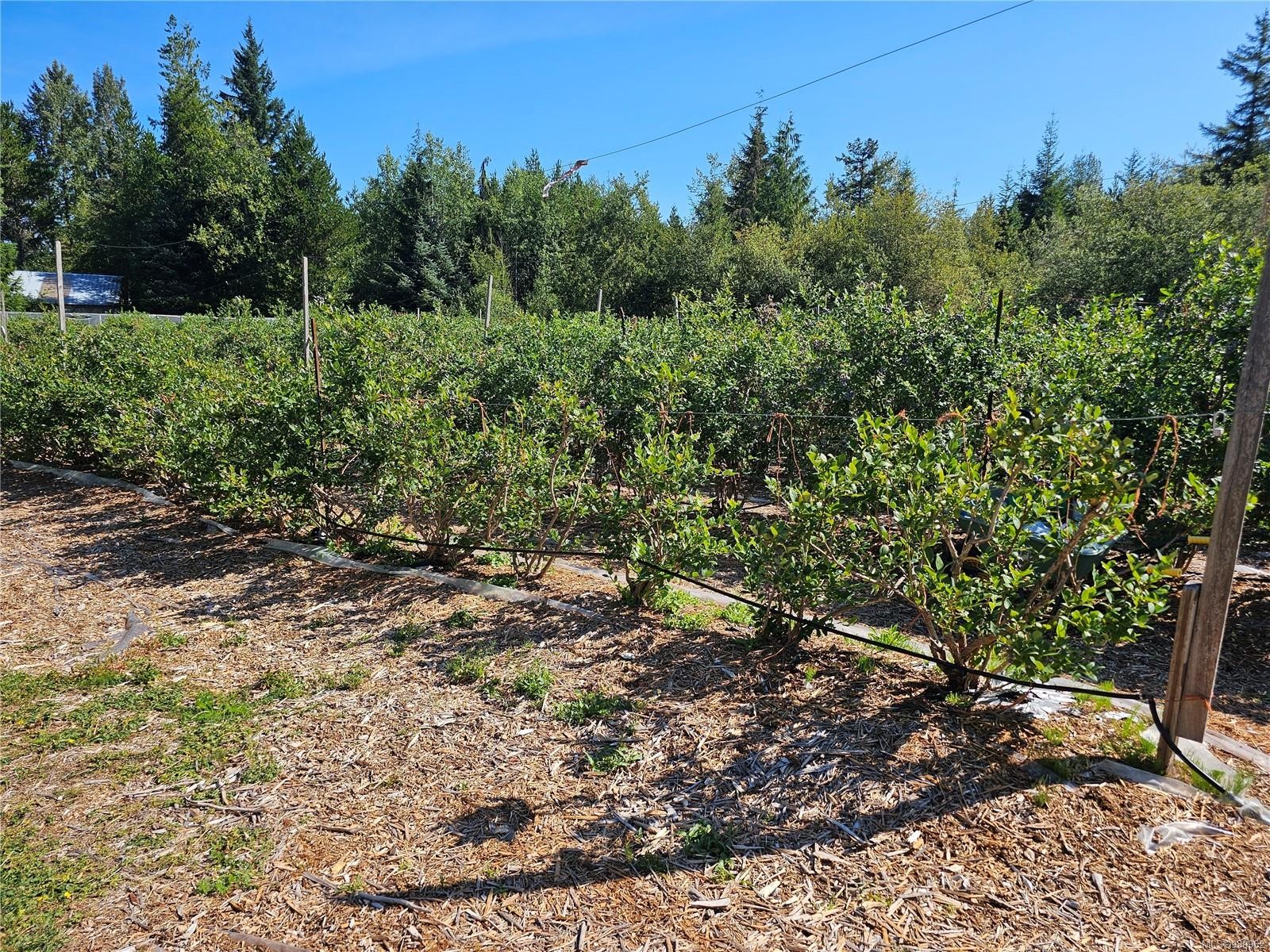 2156 Coleman Rd, Courtenay, BC