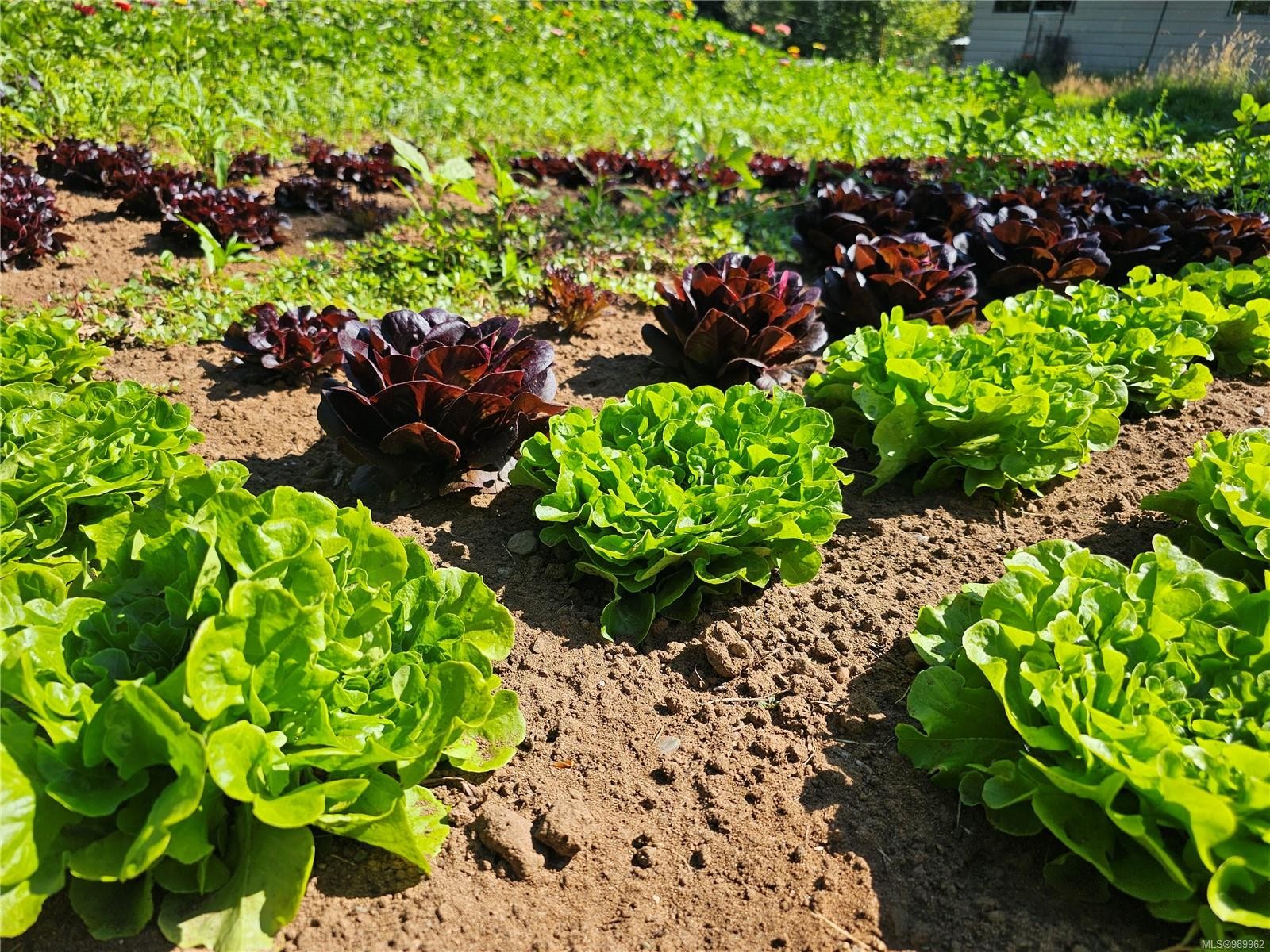 2156 Coleman Rd, Courtenay, BC