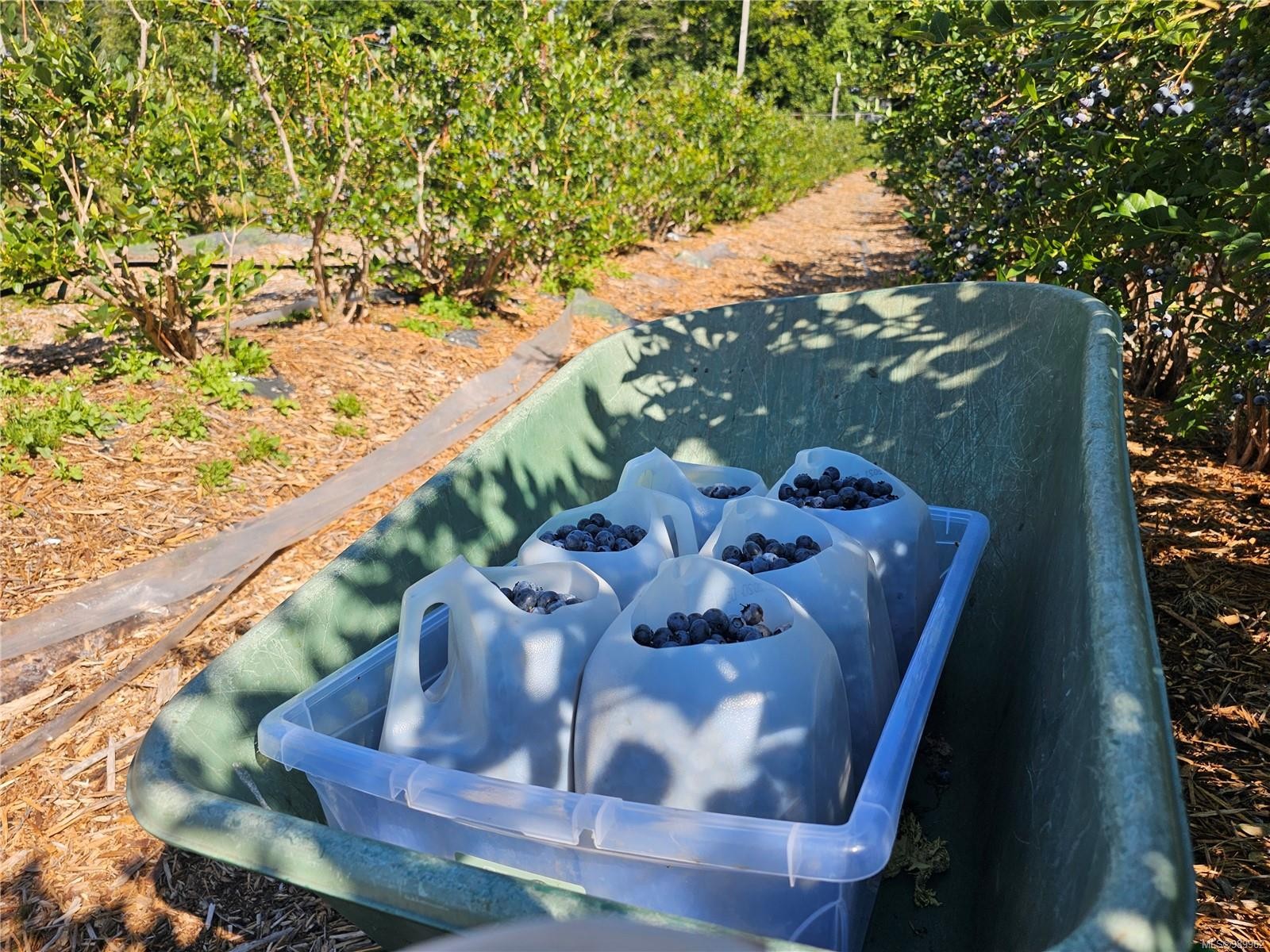 2156 Coleman Rd, Courtenay, BC