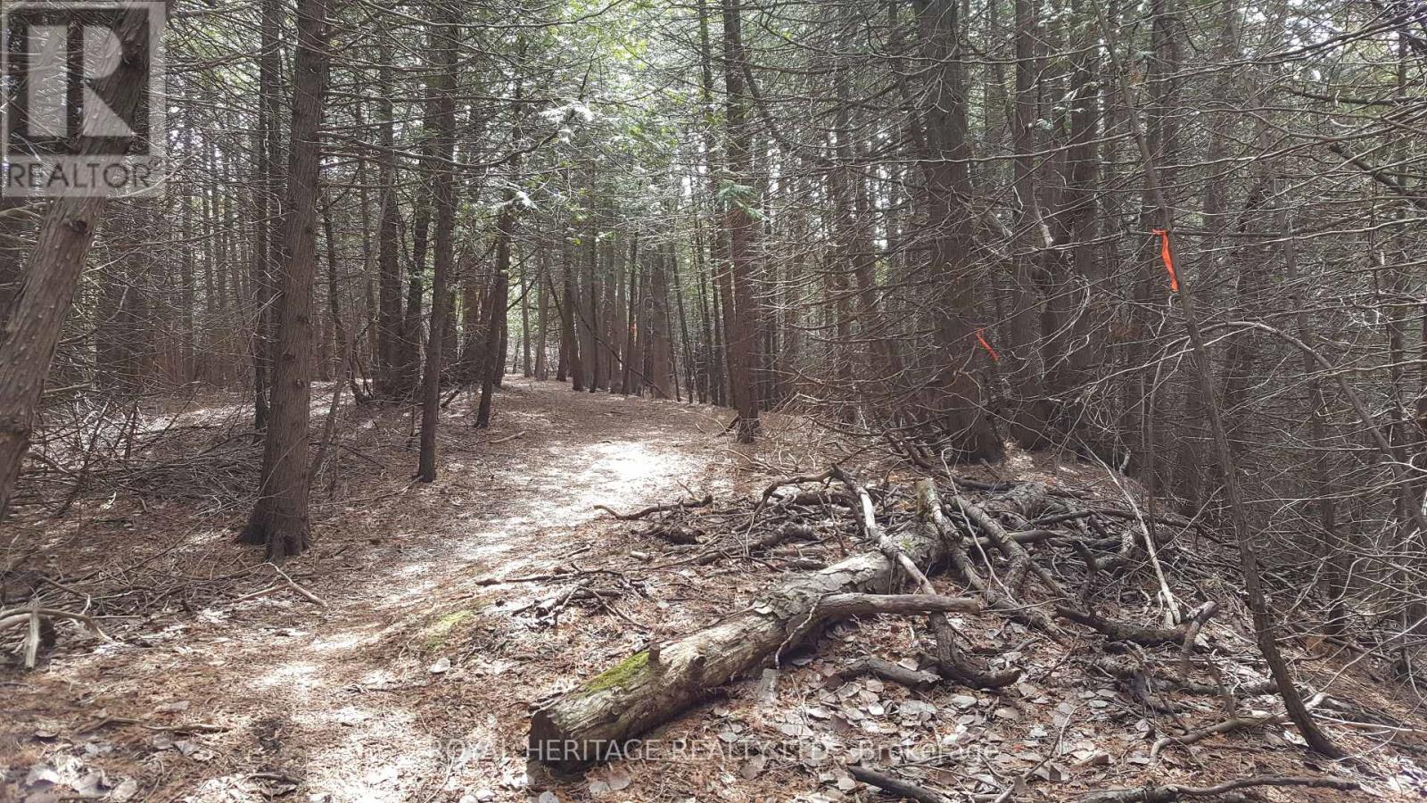 1855 Stevenson Road N, Oshawa, ON