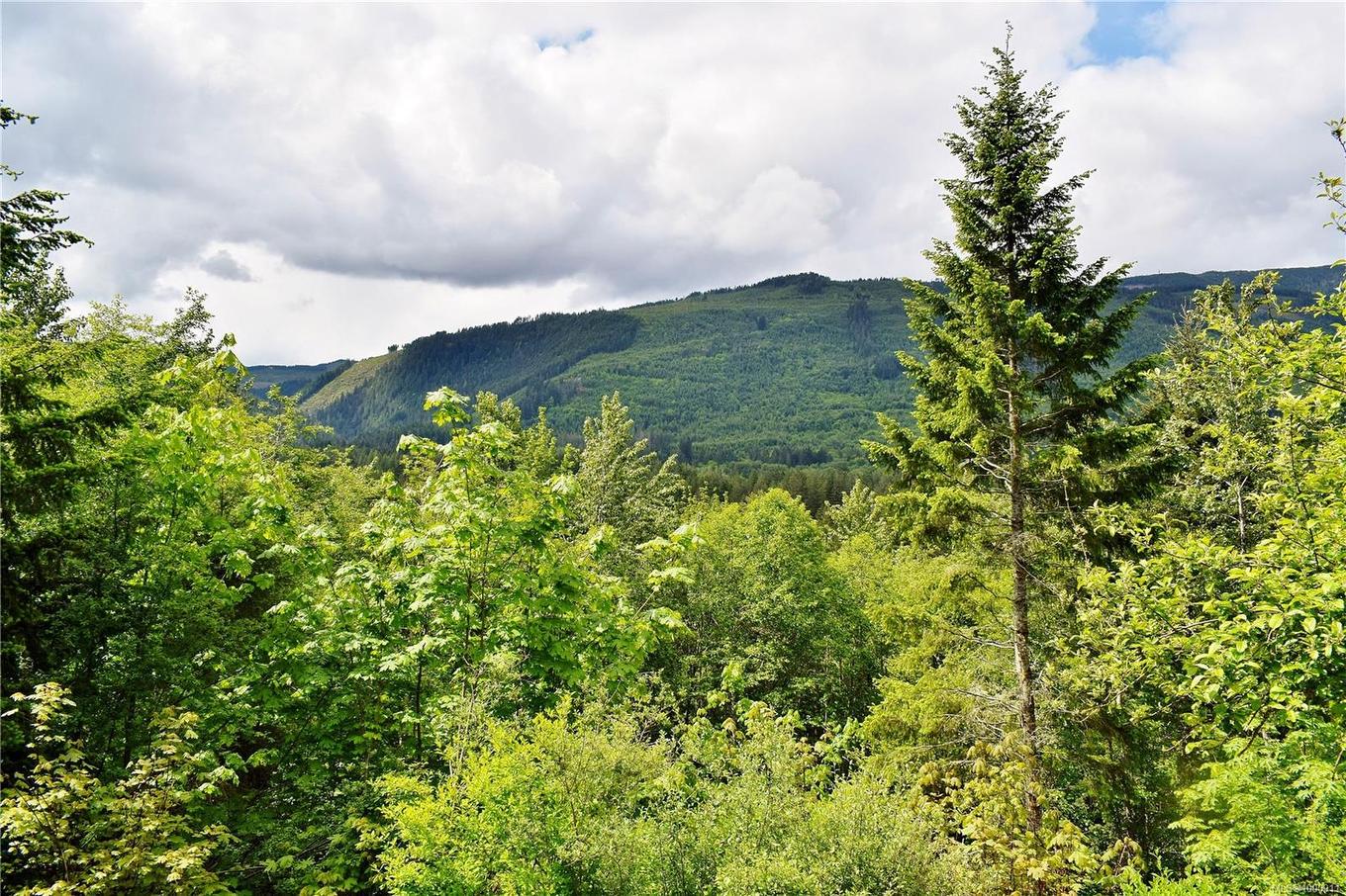 5982 Mayo Rd, Lake Cowichan, BC