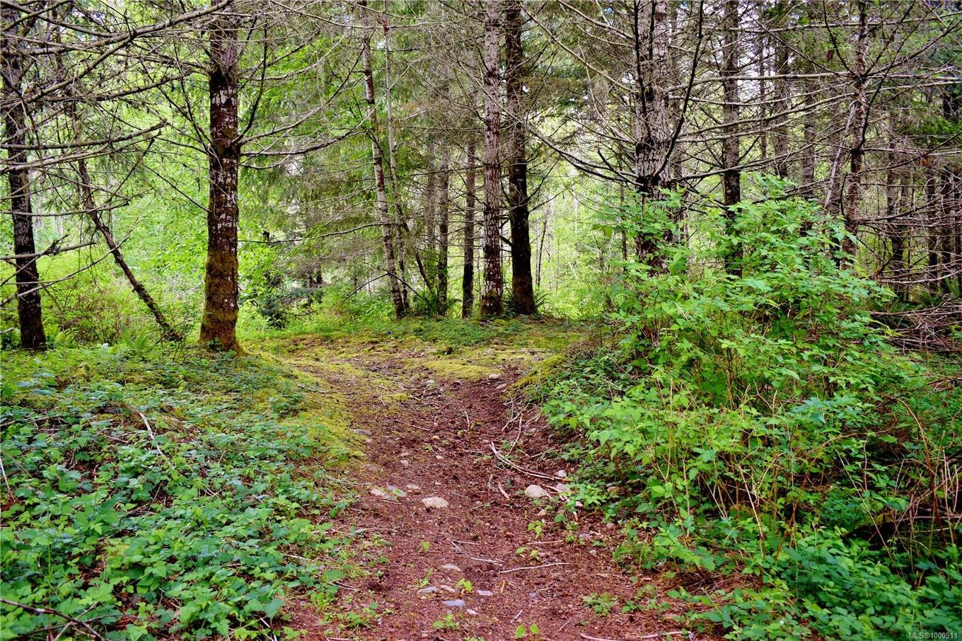 5982 Mayo Rd, Lake Cowichan, BC