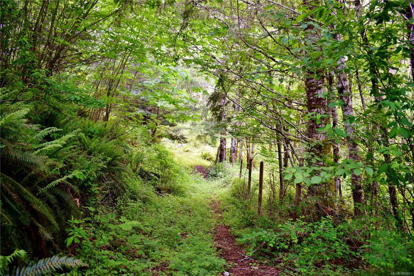 5982 Mayo Rd, Lake Cowichan, BC