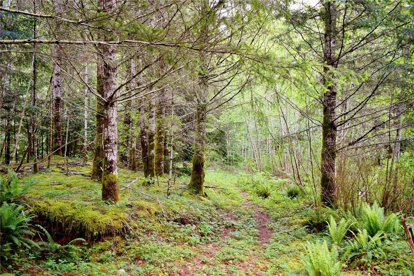 5982 Mayo Rd, Lake Cowichan, BC