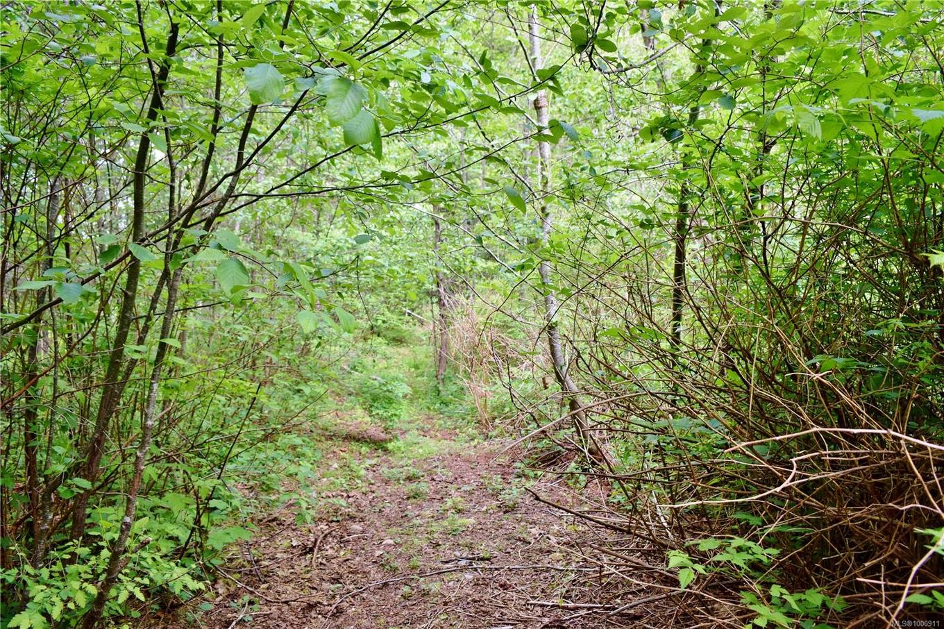 5982 Mayo Rd, Lake Cowichan, BC