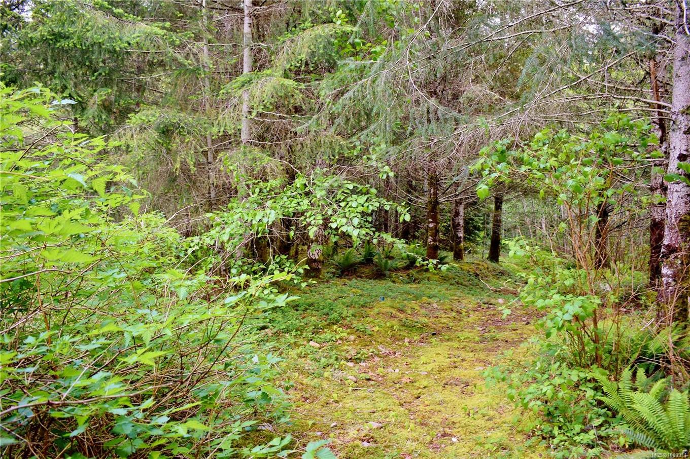 5982 Mayo Rd, Lake Cowichan, BC