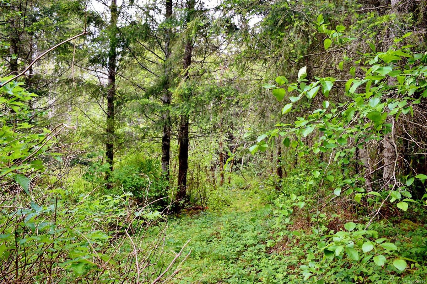 5982 Mayo Rd, Lake Cowichan, BC