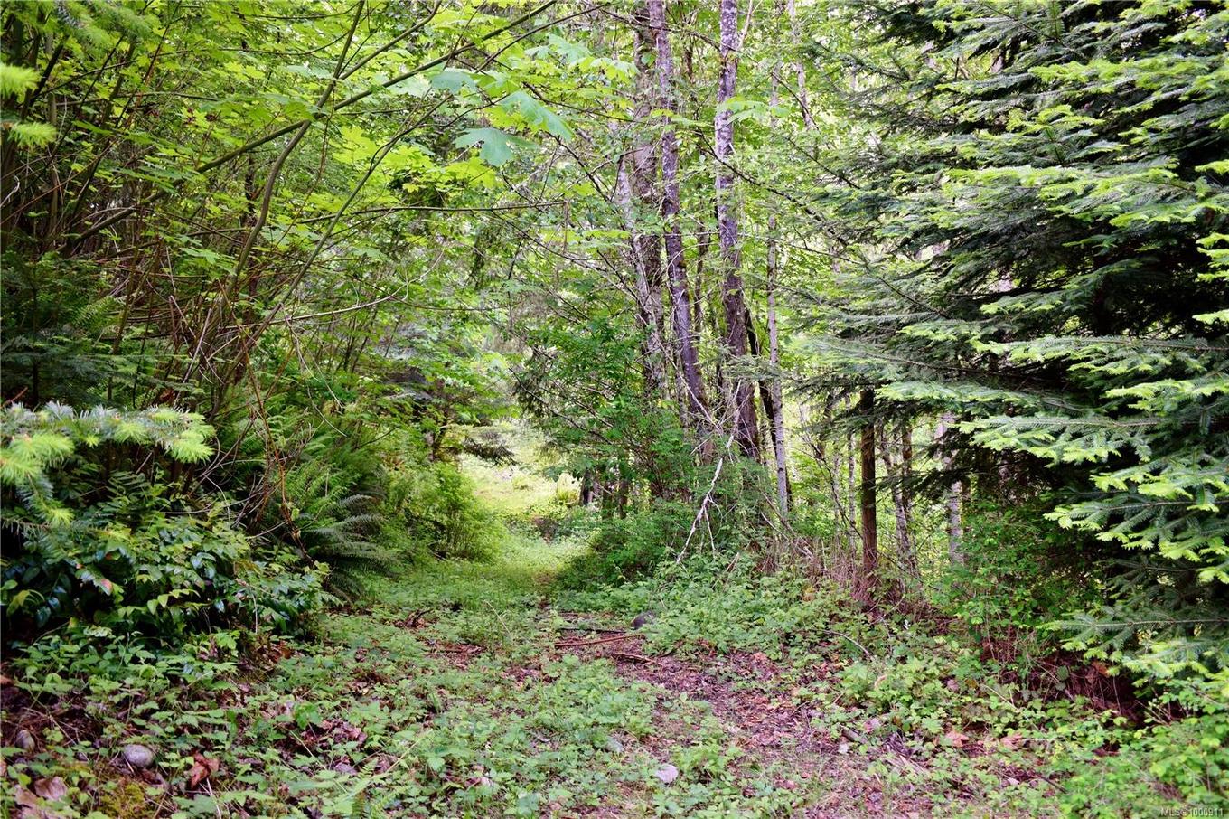 5982 Mayo Rd, Lake Cowichan, BC