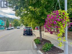 Downtown Enderby -