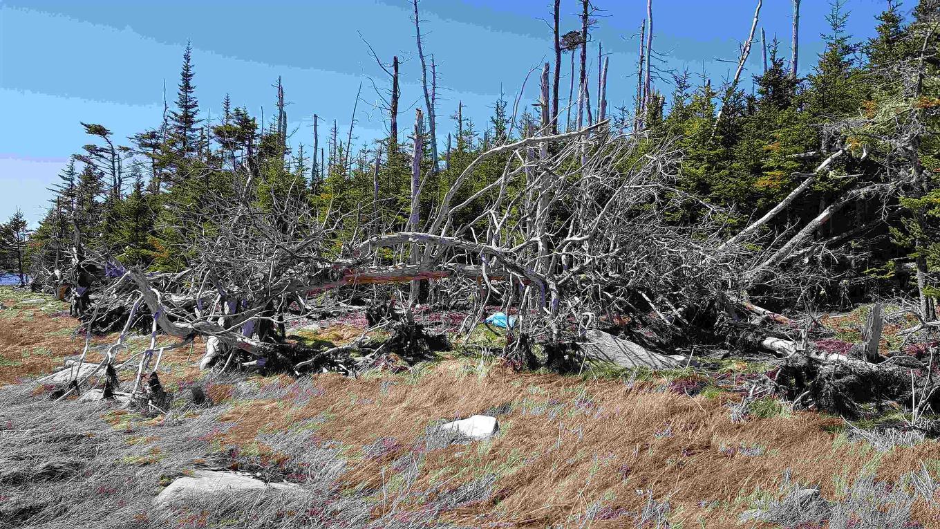 No 7 Highway, Ecum Secum, NS