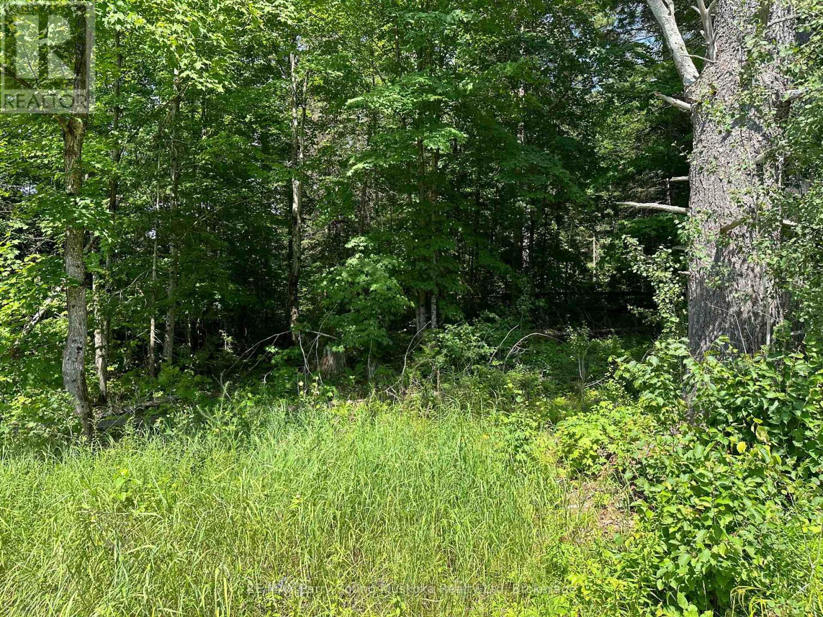 0 Blackwater Road, Mckellar, ON