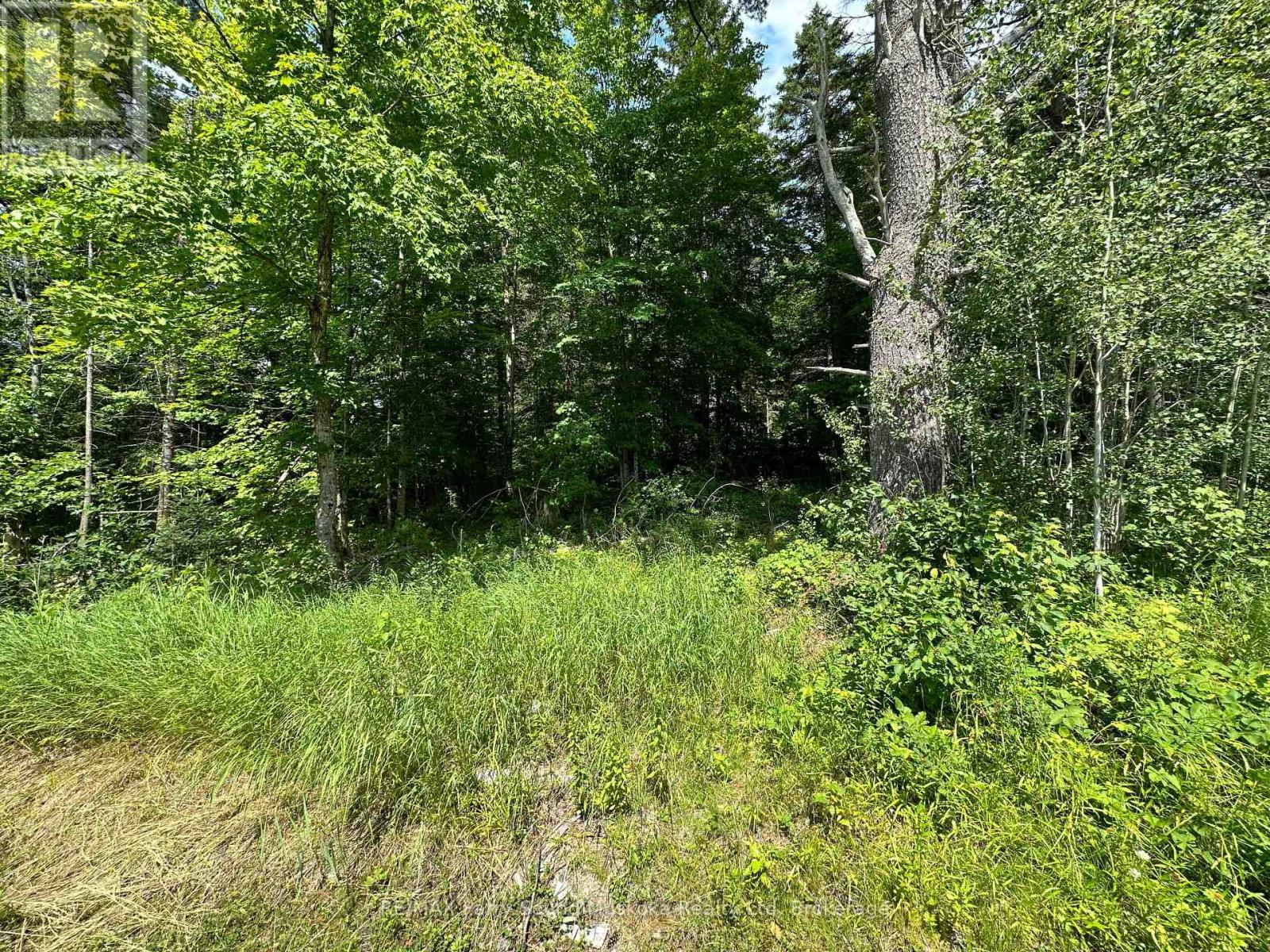 0 Blackwater Road, Mckellar, ON