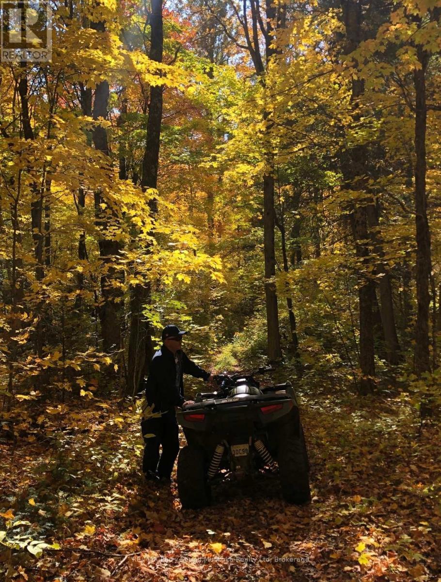 0 Blackwater Road, Mckellar, ON