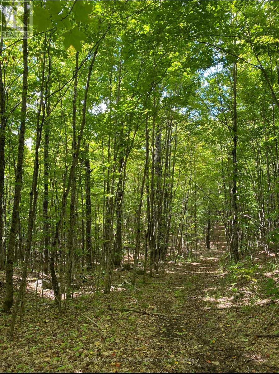 0 Blackwater Road, Mckellar, ON