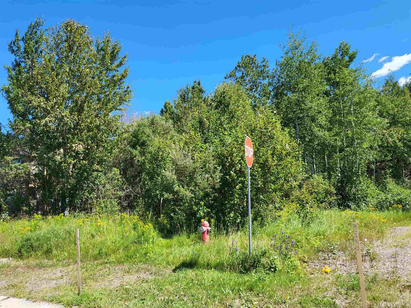 0 3Rd Avenue, Geraldton, ON