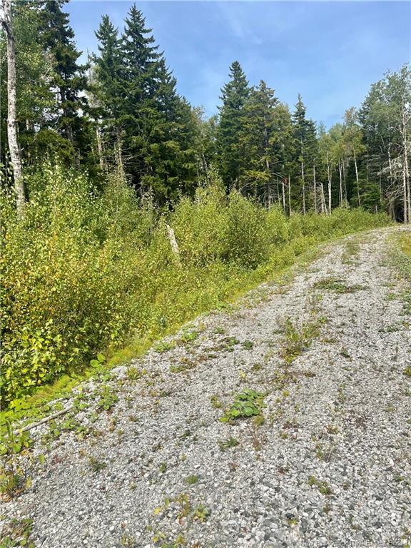 96 Hilltop Dr, Hampton, NB