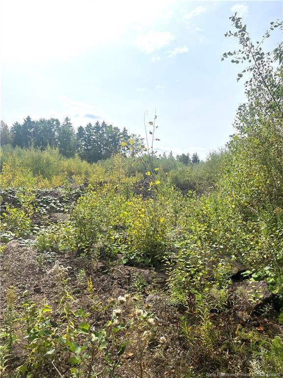 96 Hilltop Dr, Hampton, NB