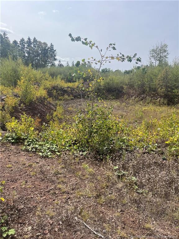 96 Hilltop Dr, Hampton, NB