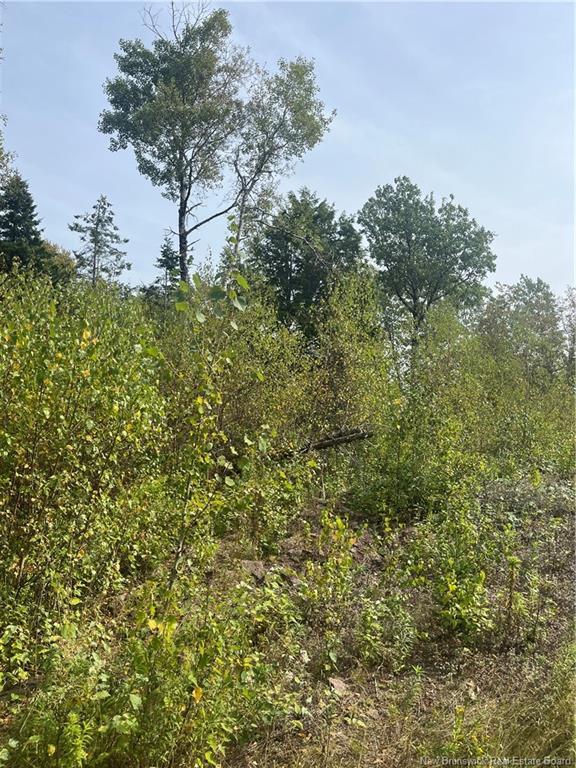 96 Hilltop Dr, Hampton, NB