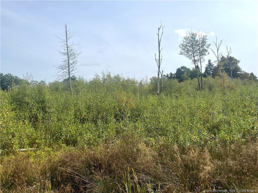 96 Hilltop Dr, Hampton, NB